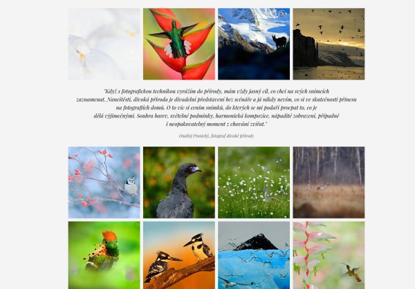 Ondřej Prosický Nature Art Gallery
